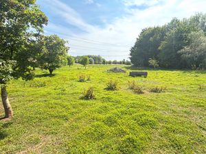 Photo 16- click for photo gallery